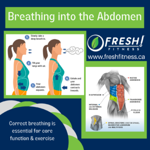 visualization of breathing with abdomenon