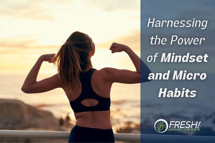 learn about mindset change and micro habits