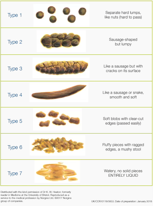 different types of stool chart